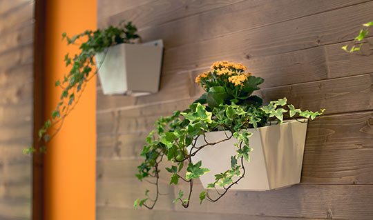 Horta em apartamento, como fazer e o que plantar